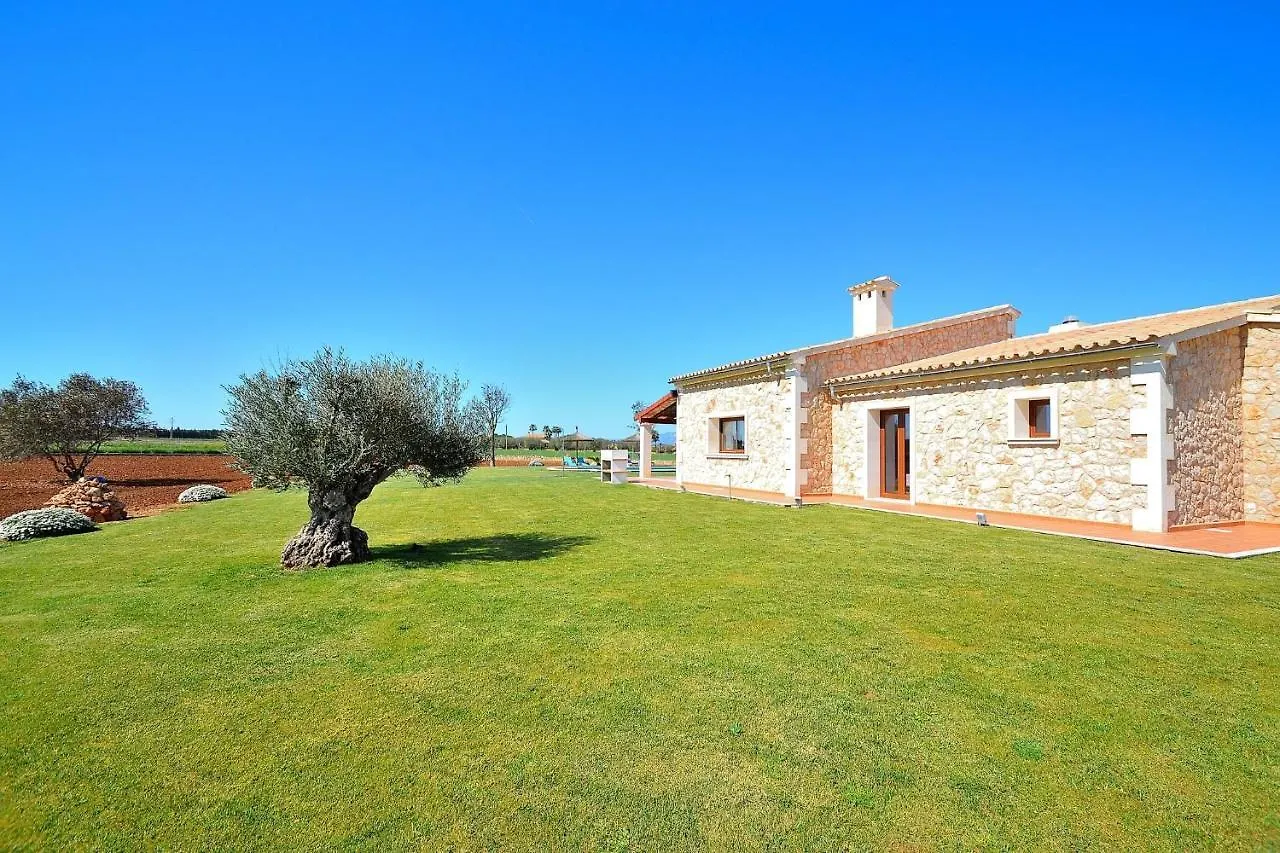 Feriehus 178 Villa Flor De Sal Etv8491 By Mallorca Charme Muro